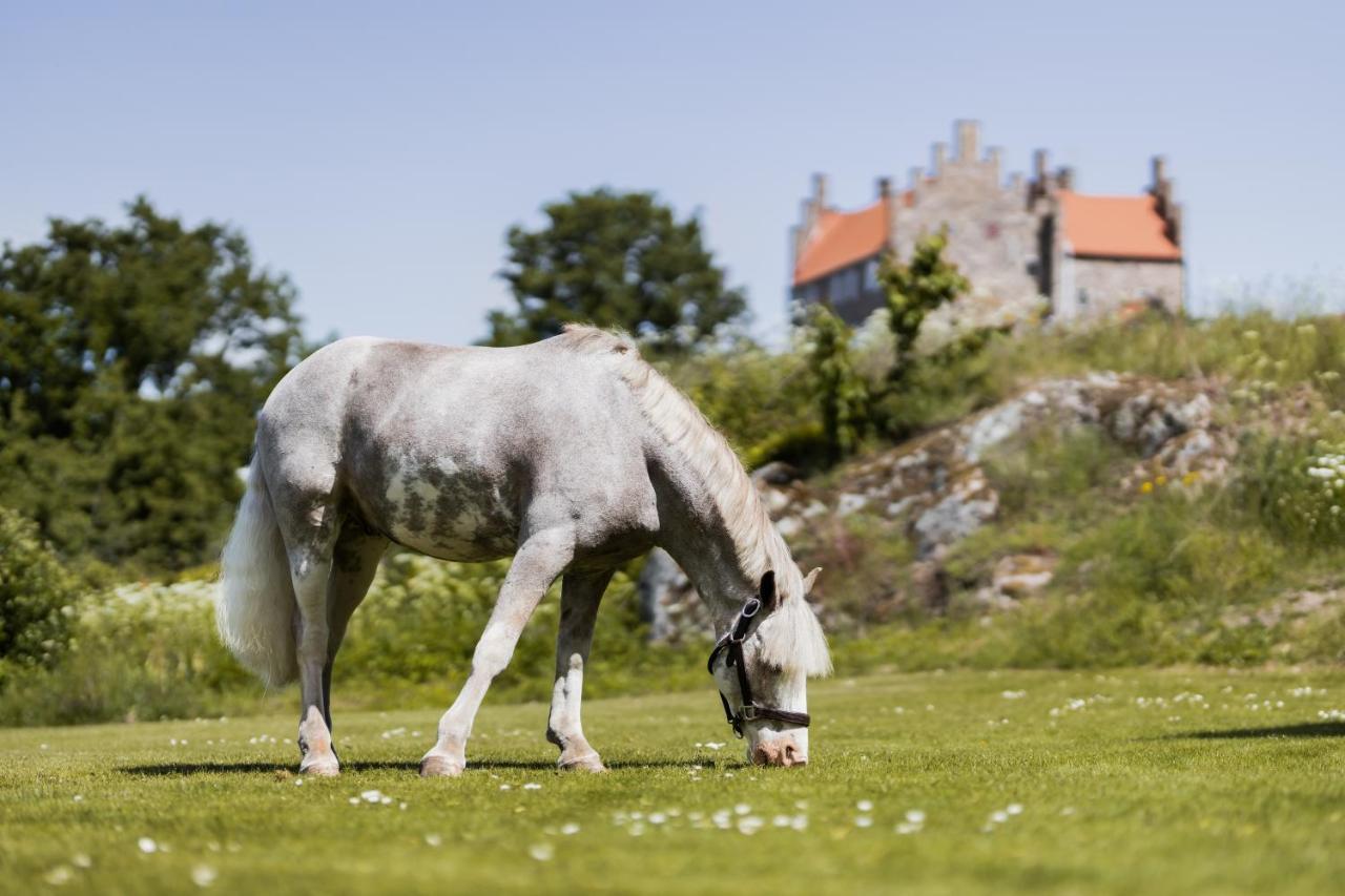 Hotel Gyllene Uttern Gränna エクステリア 写真